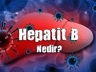 hepatit b nedir, belirtileri ve testleri nelerdir
